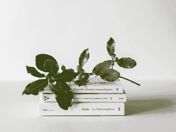 cc攻击免费网页版