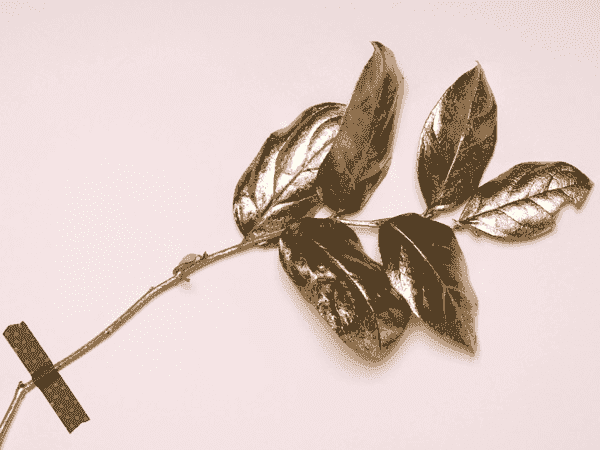 DDOS在线攻击平台